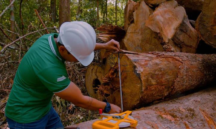 Pedra Branca conquista prêmio inédito na etapa nacional do Sebrae Prefeitura Empreendedora