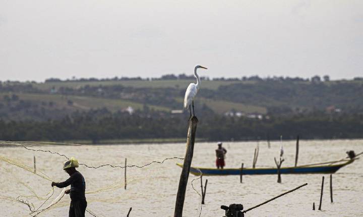 Sexto lote do seguro-defeso será disponibilizado na terça-feira