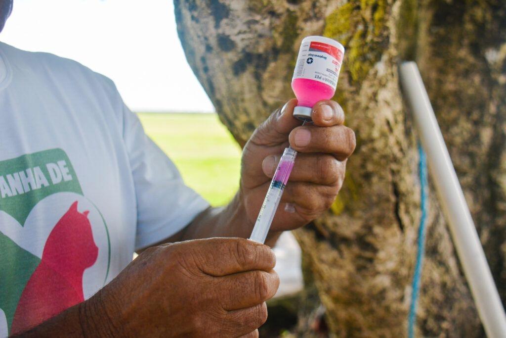 Proteção Antirrábica: Macapá Amplia Cobertura com Atendimento Domiciliar e Itinerante