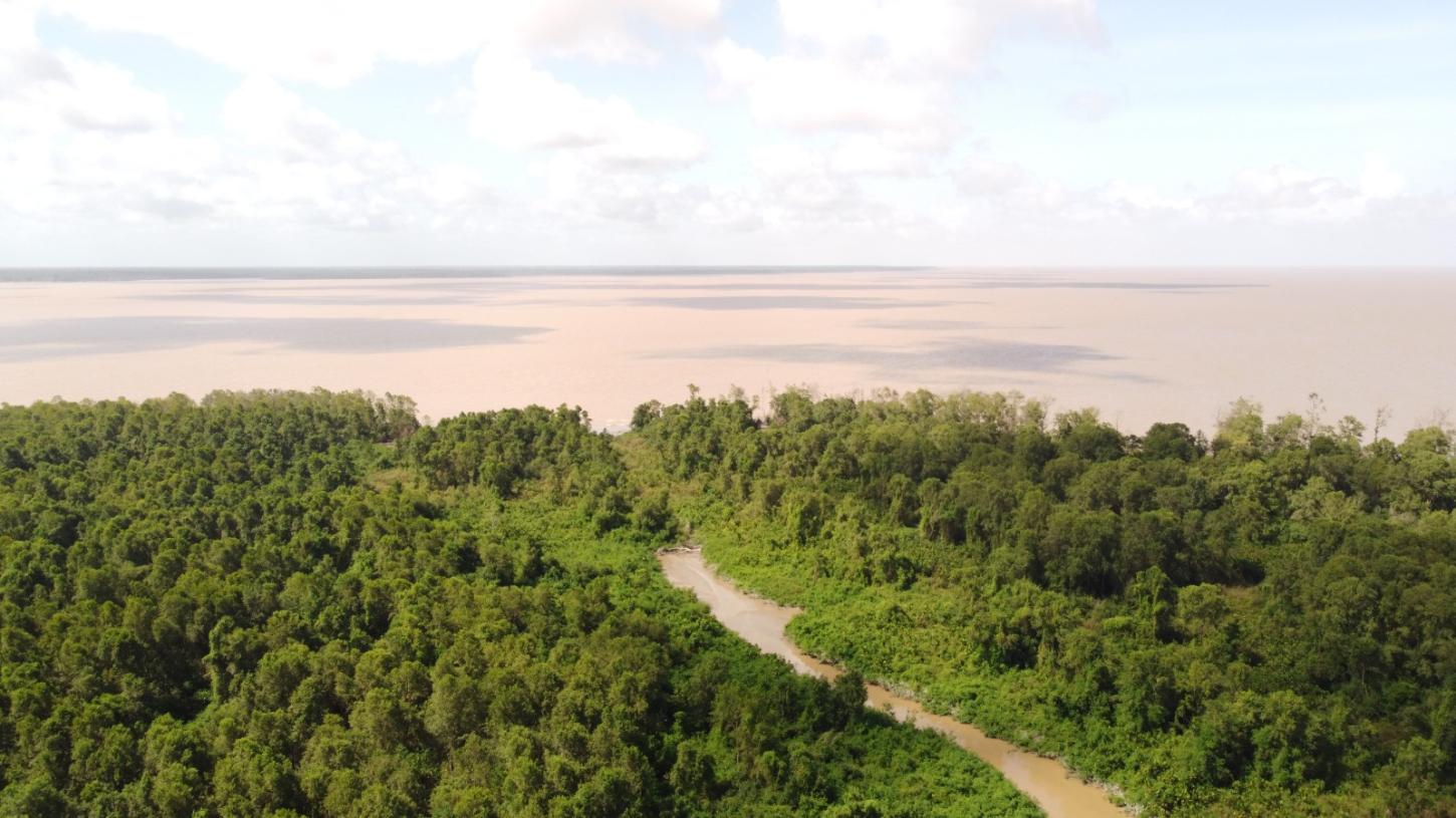 Prazo curto: Governo do Amapá abre inscrições para renovar o Coema e incluir novas vozes nas decisões ambientais