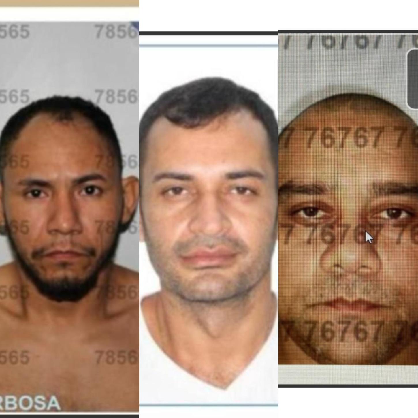 Polícia procura trio suspeito de furtar 155 celulares e R$ 10 mil em loja de Santana