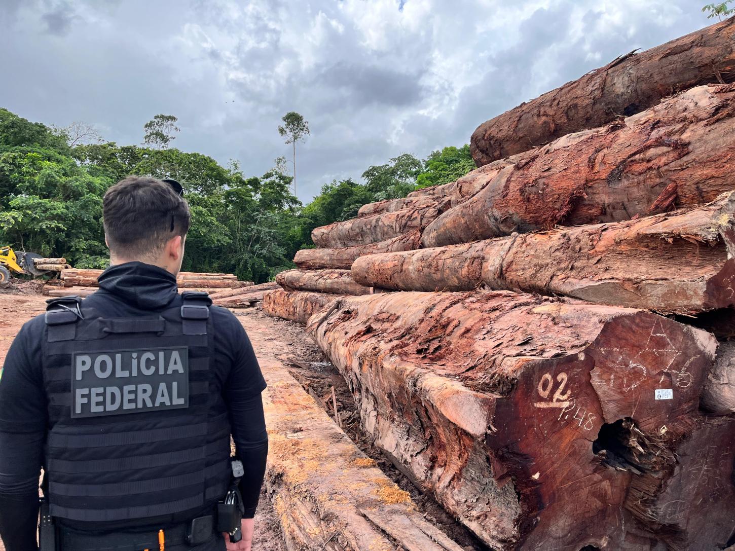 Polícia Federal desarticula esquema de lavagem de dinheiro ligado à extração ilegal de madeira no Amapá