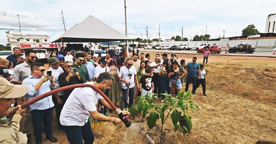 Governo do Amapá inicia política integrada para arborização urbana nos municípios