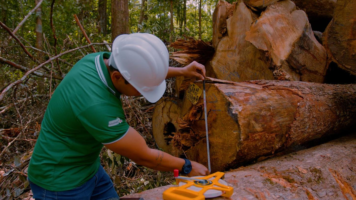Pedra Branca conquista prêmio inédito na etapa nacional do Sebrae Prefeitura Empreendedora
